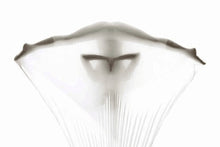 Load image into Gallery viewer, Anti-gravity Yoga belts for yoga training