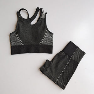 Seamless Yoga Set 2 Piece Sports Suit