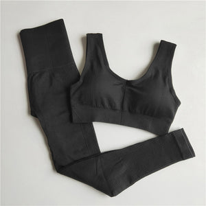 2 Piece Set Women Seamless Yoga Set